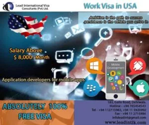 Software Application Developer