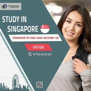 Guidance For Work Permit in Singapore